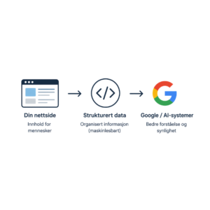 Strukturert data (Schema Markup)